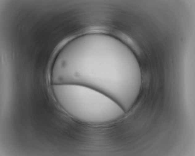 X0000114181419200910081124