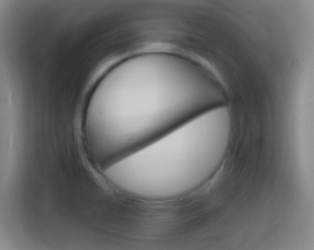 X0000114181422200910081124