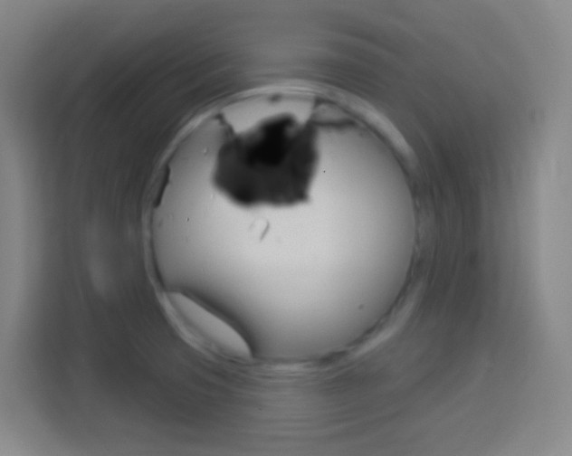 X0000114181425200910081124