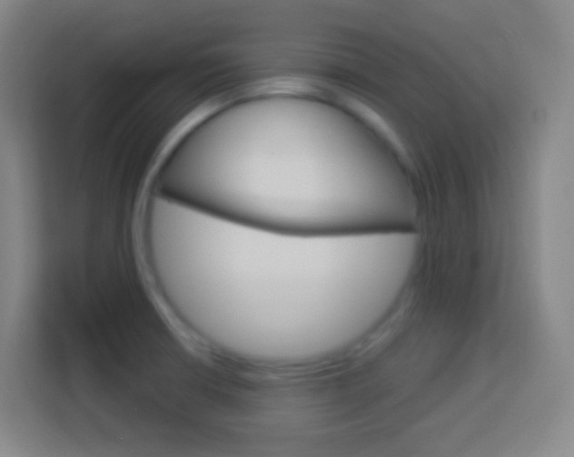 X0000114181426200910081124
