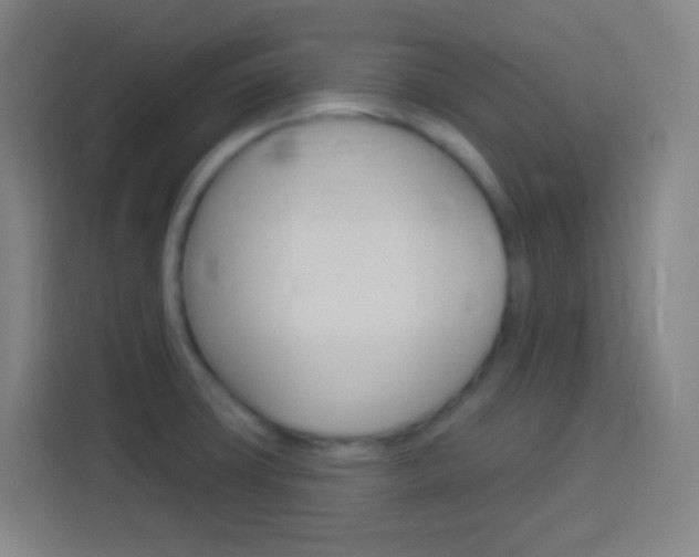 X0000114181427200910081124