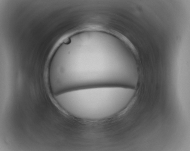 X0000114181432200910081124