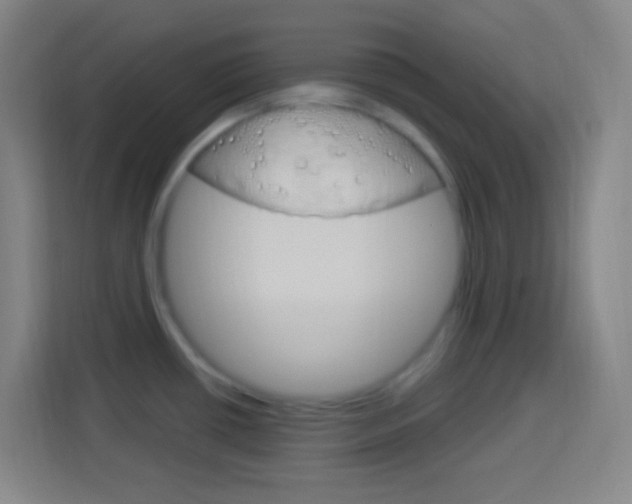 X0000114181434200910081124