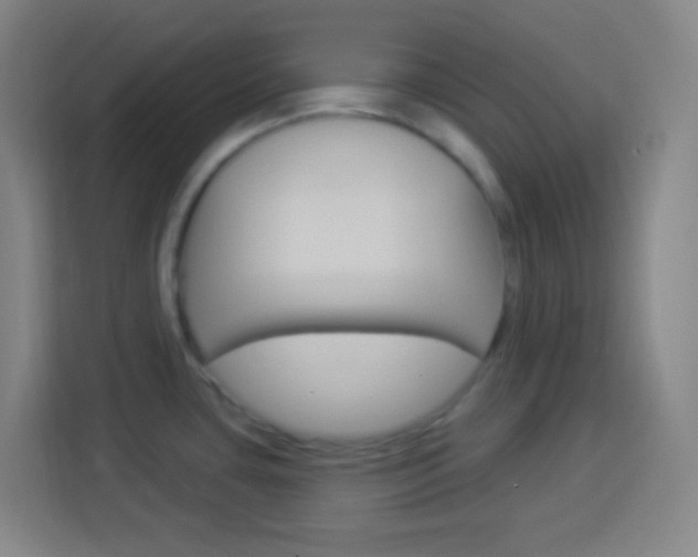 X0000114181435200910081124