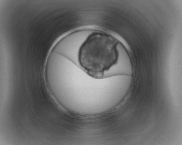 X0000114181436200910081124