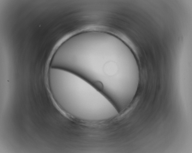 X0000114181437200910081124
