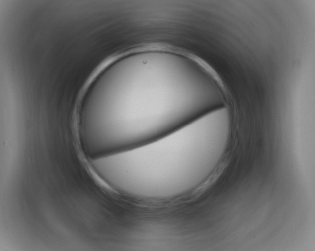 X0000114181438200910081124