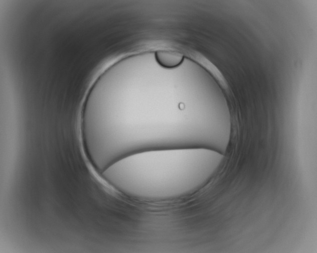 X0000114181439200910081124