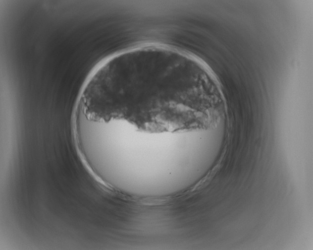X0000114181440200910081124