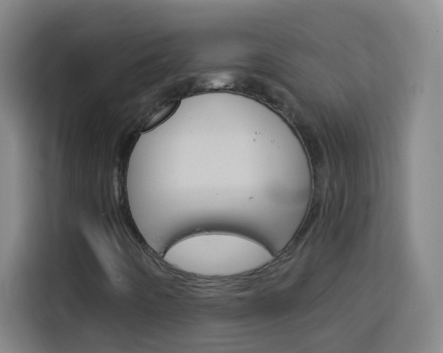 X0000114181442200910081124