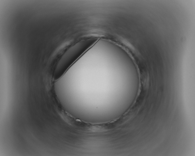 X0000114181448200910081124