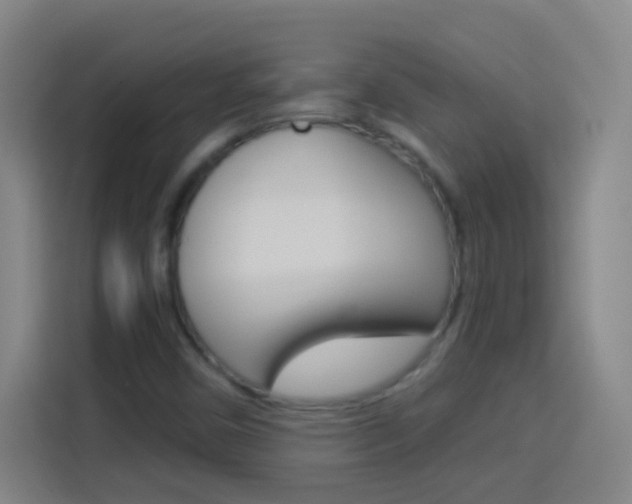 X0000114181450200910081124
