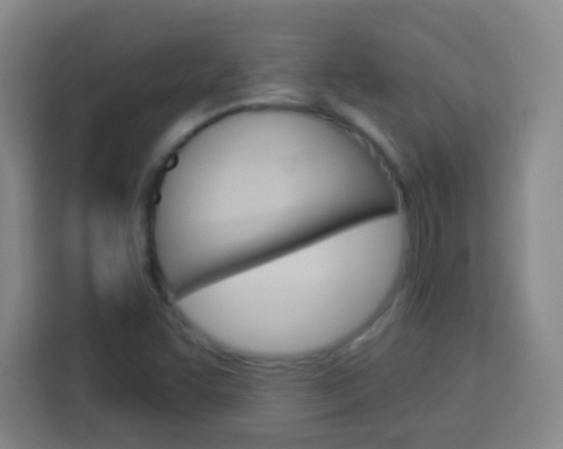 X0000114181455200910081124