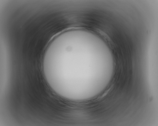X0000114181457200910081124