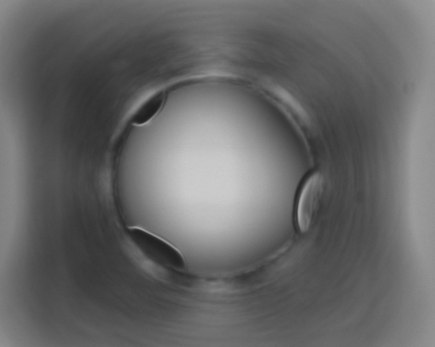 X0000114181460200910081123