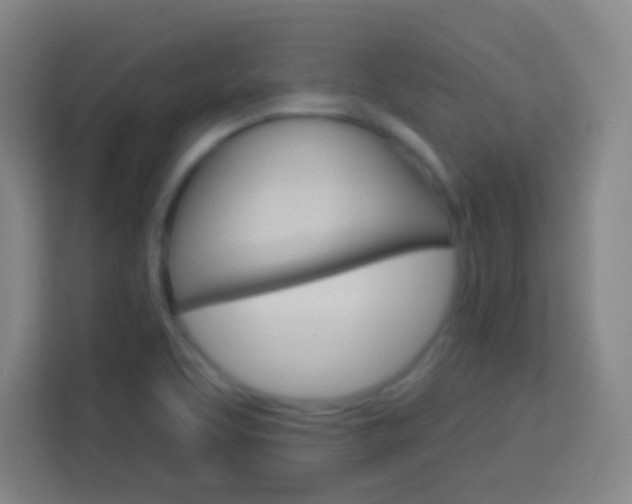 X0000114181463200910081123
