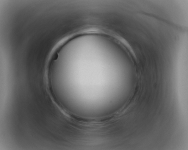 X0000114181464200910081123