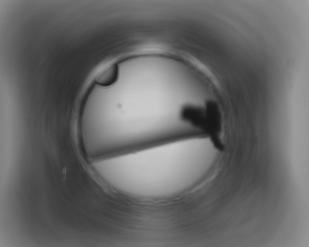 X0000114181469200910081123