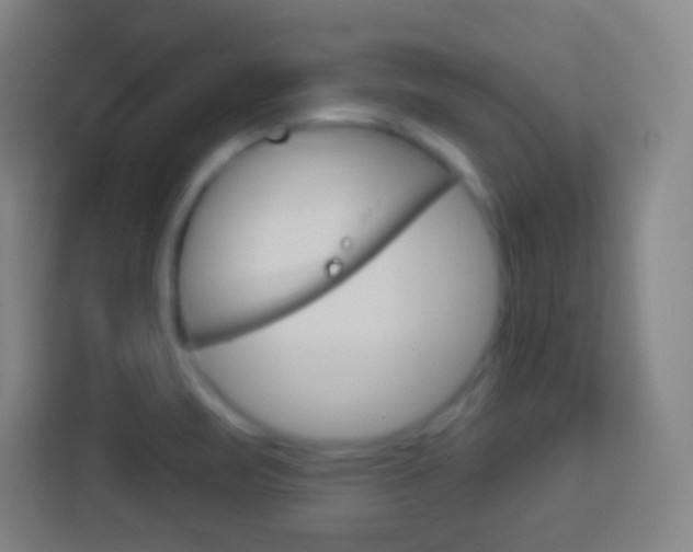 X0000114181471200910081123