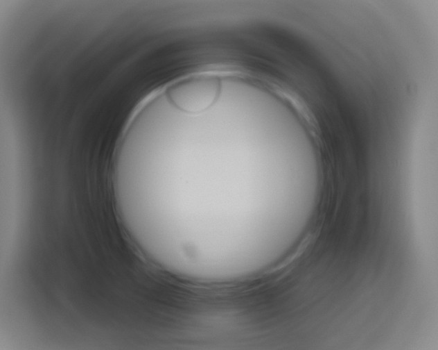 X0000114181473200910081123