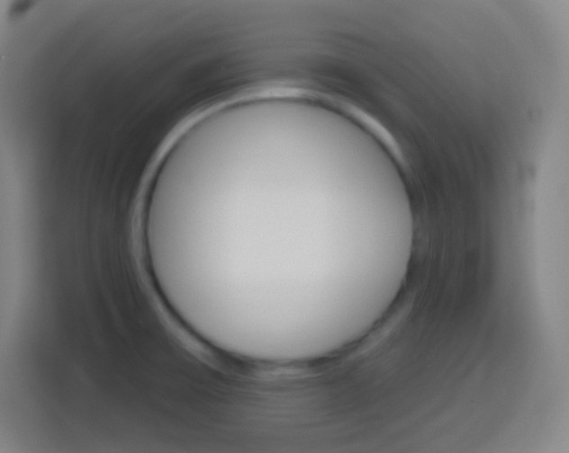 X0000114181475200910081123