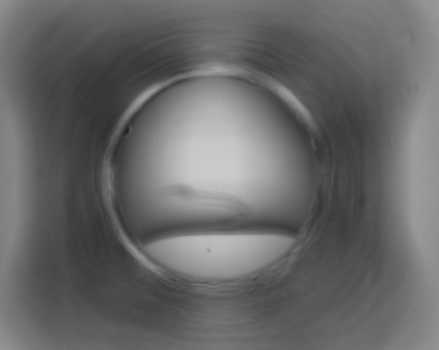 X0000114181476200910081123