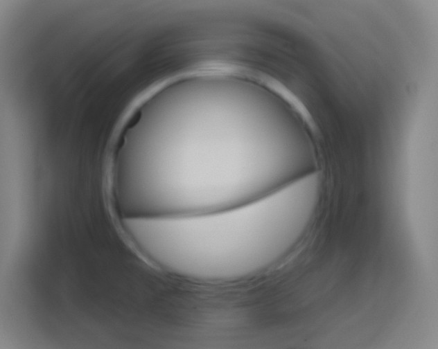 X0000114181477200910081123