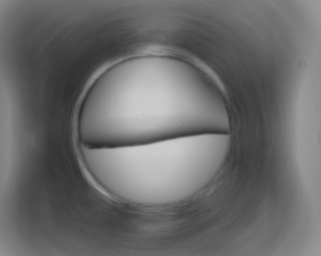 X0000114181479200910081123