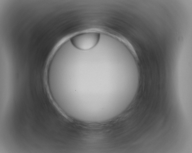 X0000114181480200910081123