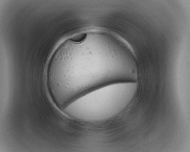 X0000114181483200910081123