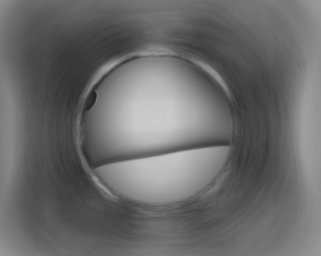 X0000114181485200910081123