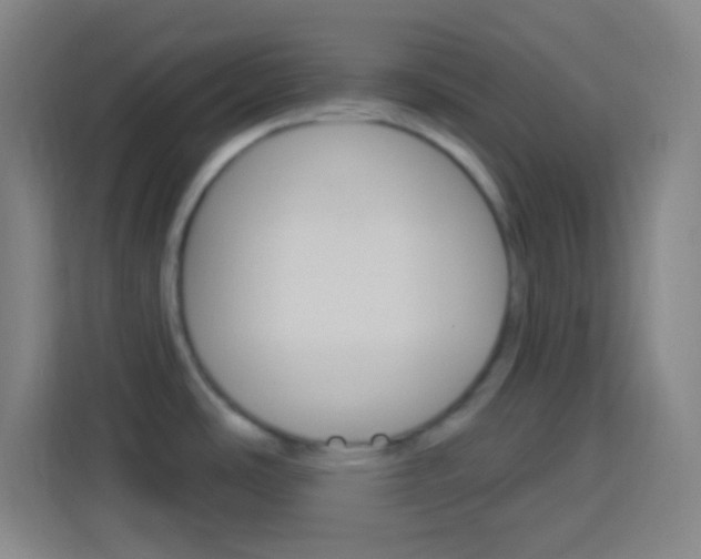 X0000114181486200910081123