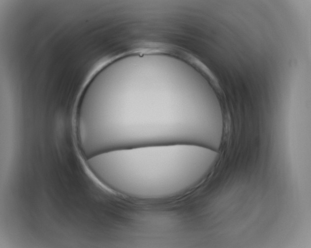 X0000114181487200910081123