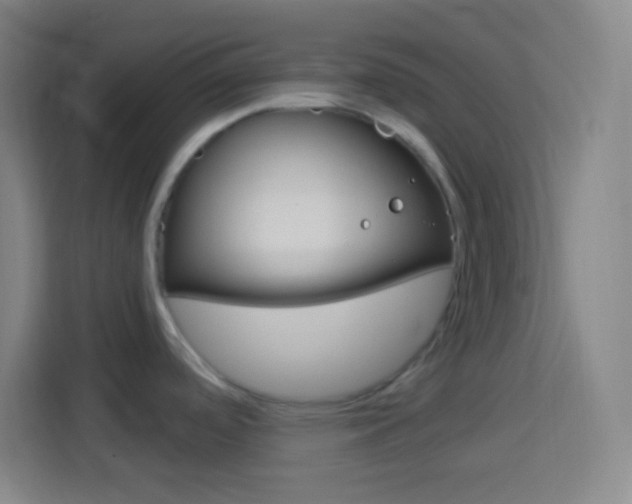 X0000114181488200910081123