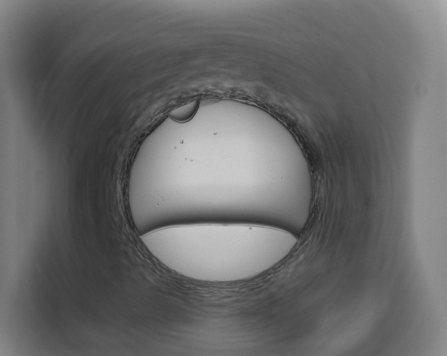 X0000114181489200910081123