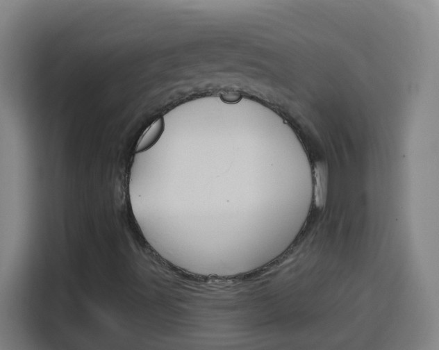 X0000114181491200910081123