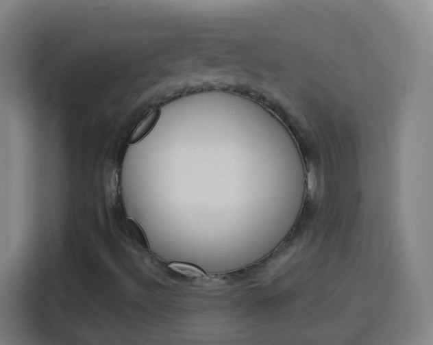 X0000114181492200910081123