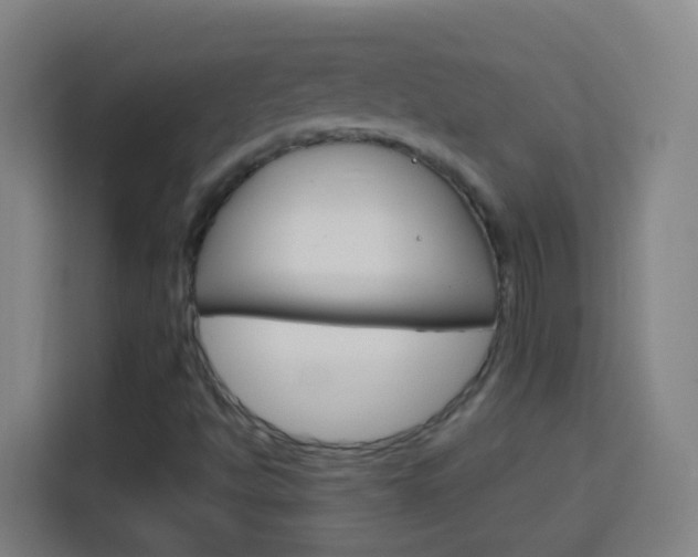 X0000114181494200910081123
