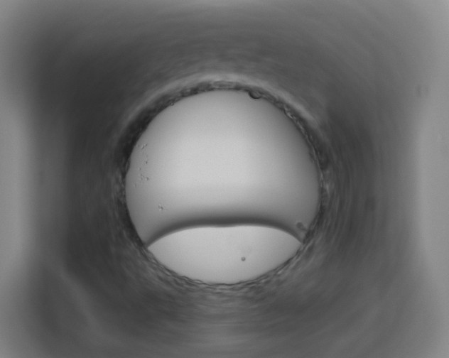X0000114181495200910081123