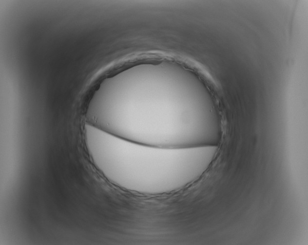 X0000114181496200910081123