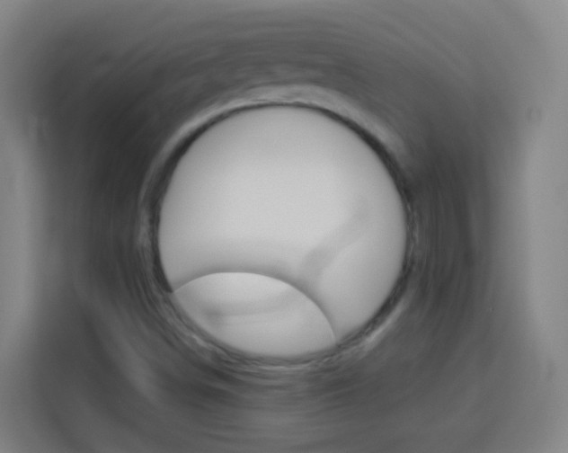 X0000114181498200910081123