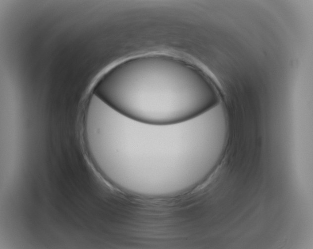X0000114181500200910081123