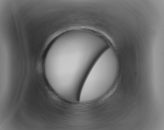 X0000114181501200910081123