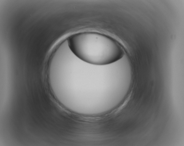 X0000114181502200910081123