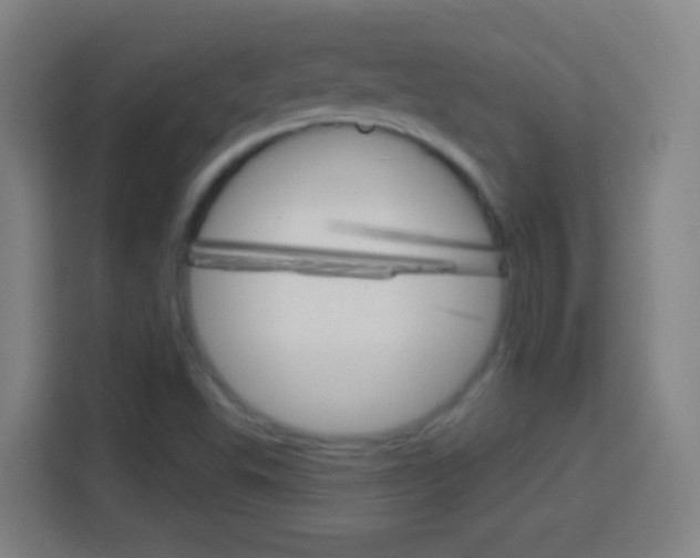 X0000114181503200910081123
