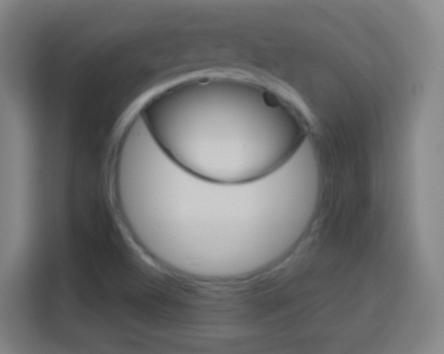 X0000114181504200910081123