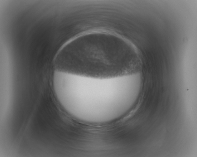 X0000114181505200910081123
