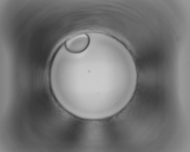 X0000114181514200910081123