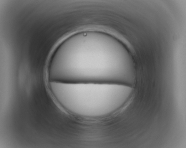 X0000114181517200910081123
