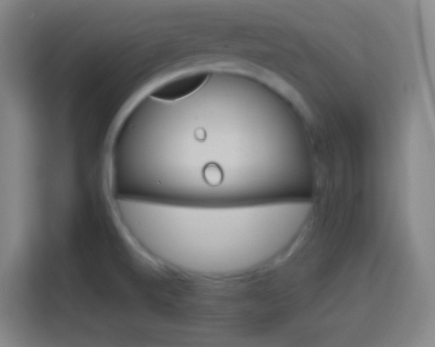 X0000114181520200910081123